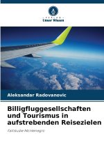 Billigfluggesellschaften und Tourismus in aufstrebenden Reisezielen