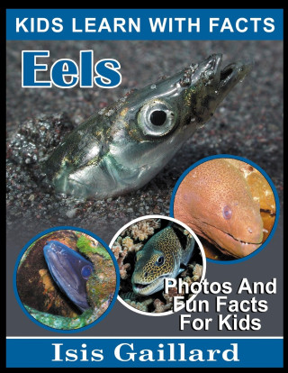 Eels