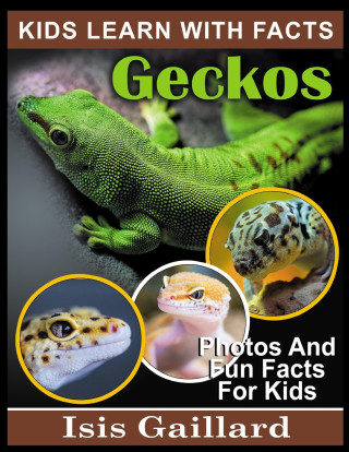 Geckos