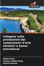 Indagine sulle prestazioni dei compressori d'aria idraulici a bassa prevalenza