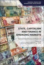 State, Capitalism and Finance in Emerging Market – Between Subordination and Statecraft