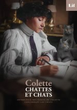 Chattes et chats