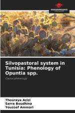 Silvopastoral system in Tunisia