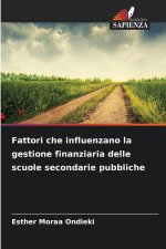 Fattori che influenzano la gestione finanziaria delle scuole secondarie pubbliche