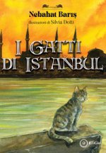gatti di Istanbul