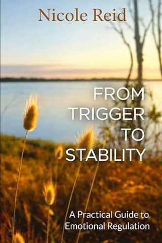 FROM TRIGGER TO STABILITY