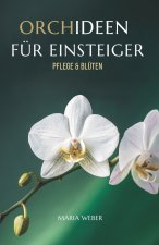 Orchideen Für Einsteiger