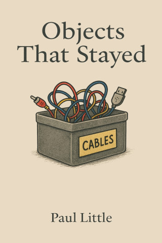 Objects That Stayed
