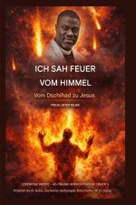 Ich sah Feuer vom Himmel