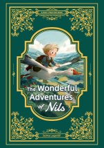 The wonderful adventures of Nils/尼尔斯骑鹅旅行记