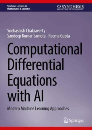Computational Differential Equations with AI