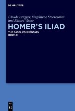 Homer's Iliad