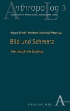 Bild und Schmerz