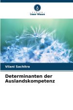 Determinanten der Auslandskompetenz