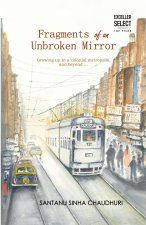Fragments of an Unbroken Mirror