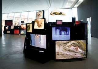 Douglas Gordon