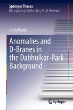 Anomalies and D-Branes in the Dabholkar-Park Background