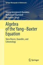 Algebra of the Yang-Baxter Equation
