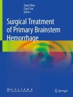 Surgical Treatment of Primary Brainstem Hemorrhage