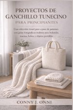 PROYECTOS DE GANCHILLO TUNECINO PARA PRINCIPIANTES
