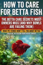 How to Care for Betta Fish