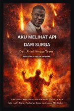 Aku Melihat Api dari Surga