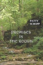 Promises in the Rough