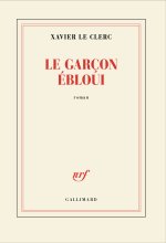 Le garçon ébloui