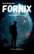 Fornix