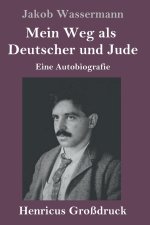 Mein Weg als Deutscher und Jude (Großdruck)
