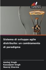 Sistema di sviluppo agile distribuito