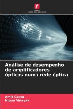 Análise de desempenho de amplificadores ópticos numa rede óptica