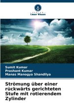 Strömung über einer rückwärts gerichteten Stufe mit rotierendem Zylinder