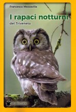 rapaci notturni del Triveneto