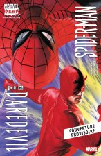 Spider-Man & Daredevil -Web of Heroes Collection T09