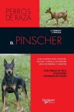 El pinscher