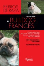 El bulldog francés
