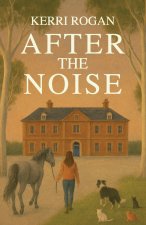After the Noise