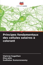 Principes fondamentaux des cellules solaires à colorant