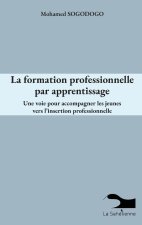 La formation professionnelle par apprentissage