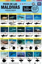 Maldivas Guia De Campo Para Peces