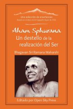 Aham Sphurana - Un destello de la realización del Ser