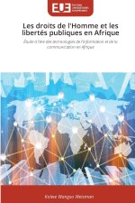 Les droits de l'Homme et les libertés publiques en Afrique