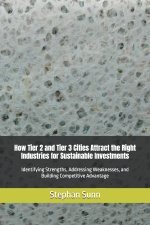 How Tier 2 and Tier 3 Cities Attract the Right Industries for Sustainable Investments