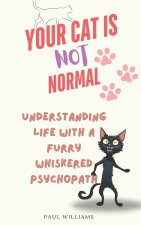 Your Cat Is Not Normal