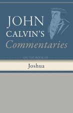 Commentaries on the Book of Joshua