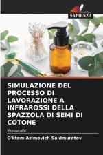 SIMULAZIONE DEL PROCESSO DI LAVORAZIONE A INFRAROSSI DELLA SPAZZOLA DI SEMI DI COTONE