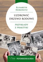Uzdrowić drzewo rodowe. Przykłady z praktyki. Psychogenealogia