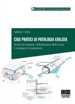 Casi pratici di patologia edilizia. Analisi dei degradi, individuazione delle cause e strategie di risanamento</p>