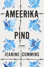 Ameerika pind